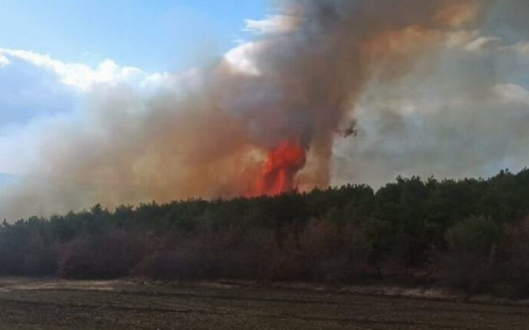 Tokat’ta orman yangını