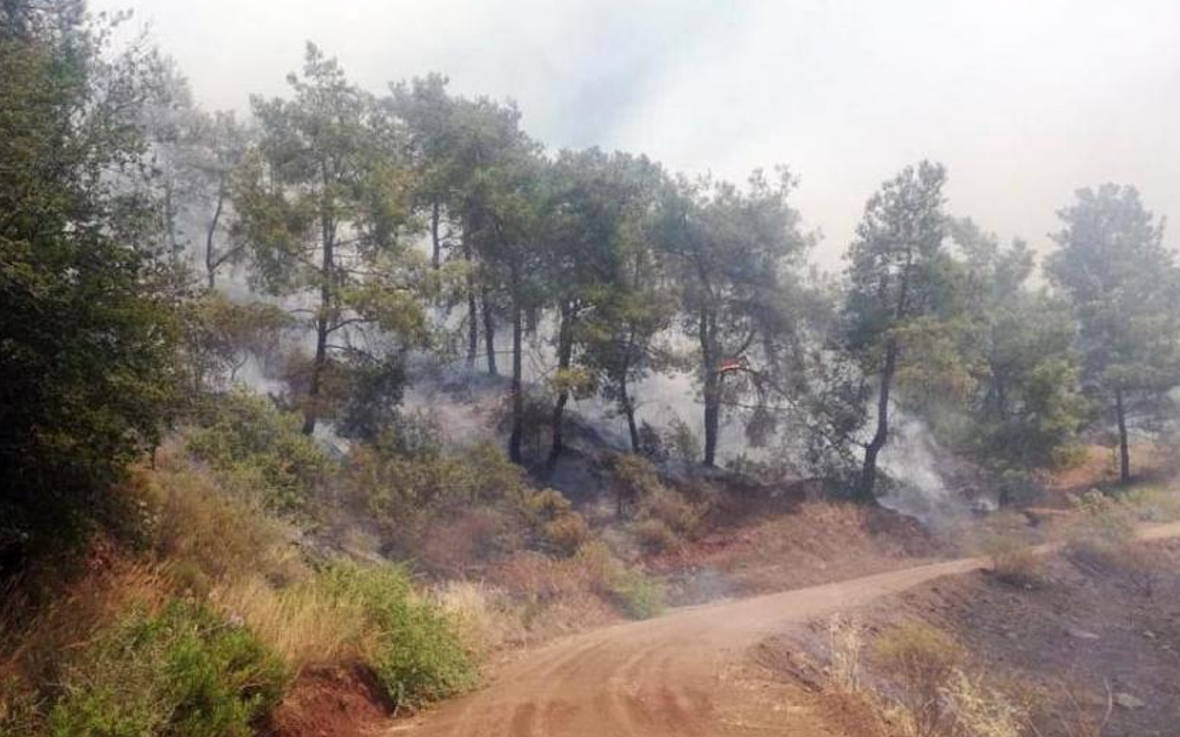 Muğla'daki orman yangını kontrol altında