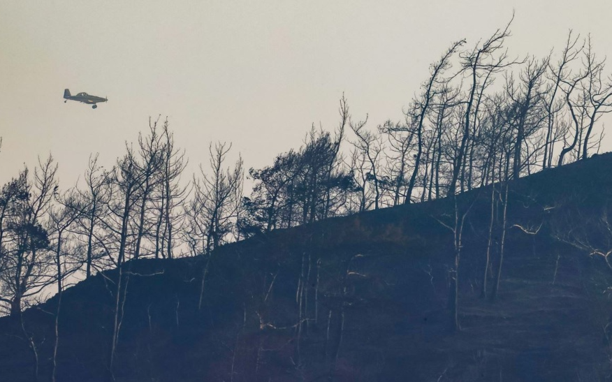 Marmaris'teki orman yangını saatlerdir sürüyor