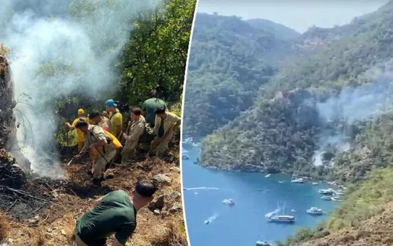 Muğla'daki orman yangını söndürüldü