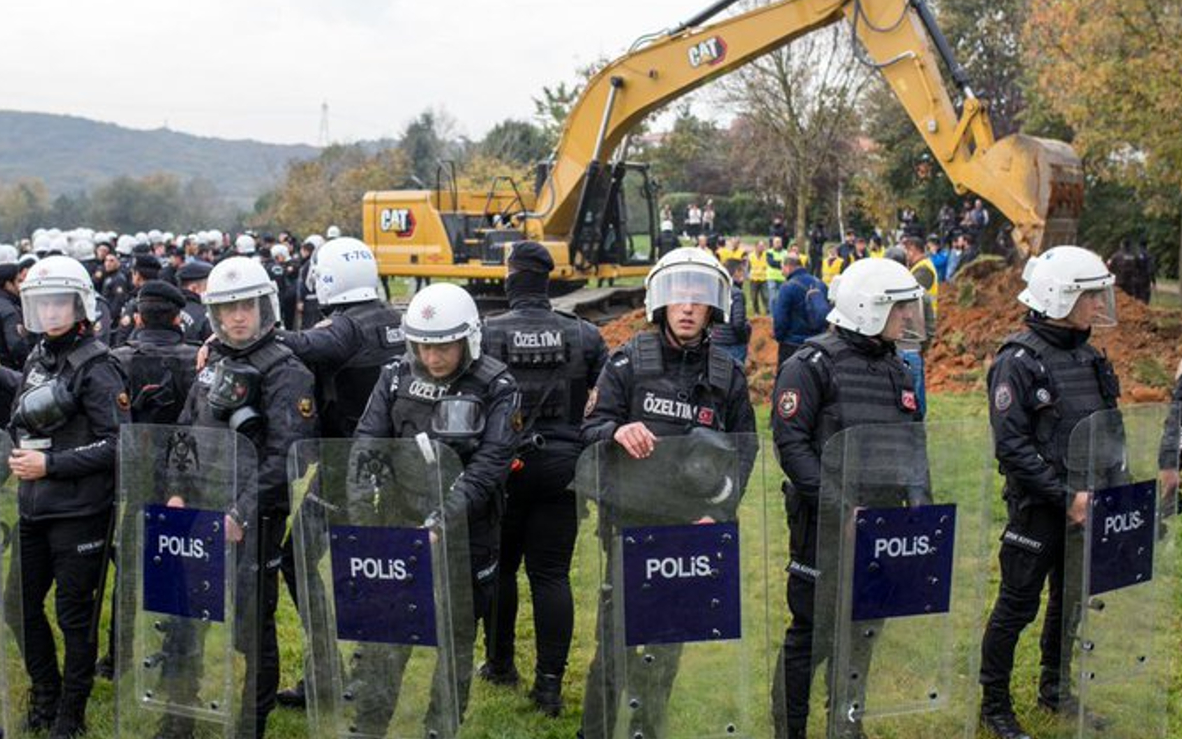 Kemerköy'deki rantta sıra anıt ağaçlarda!