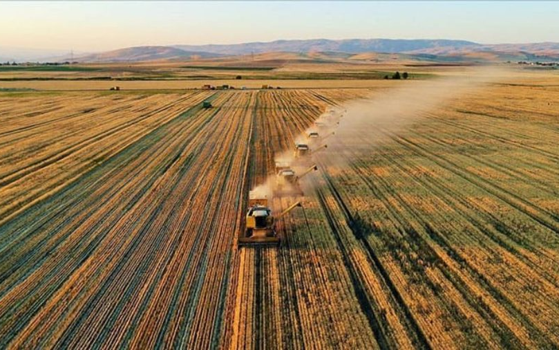 Tarımsal girdi enflasyonu yıllık bazda yüzde 135 yükseldi