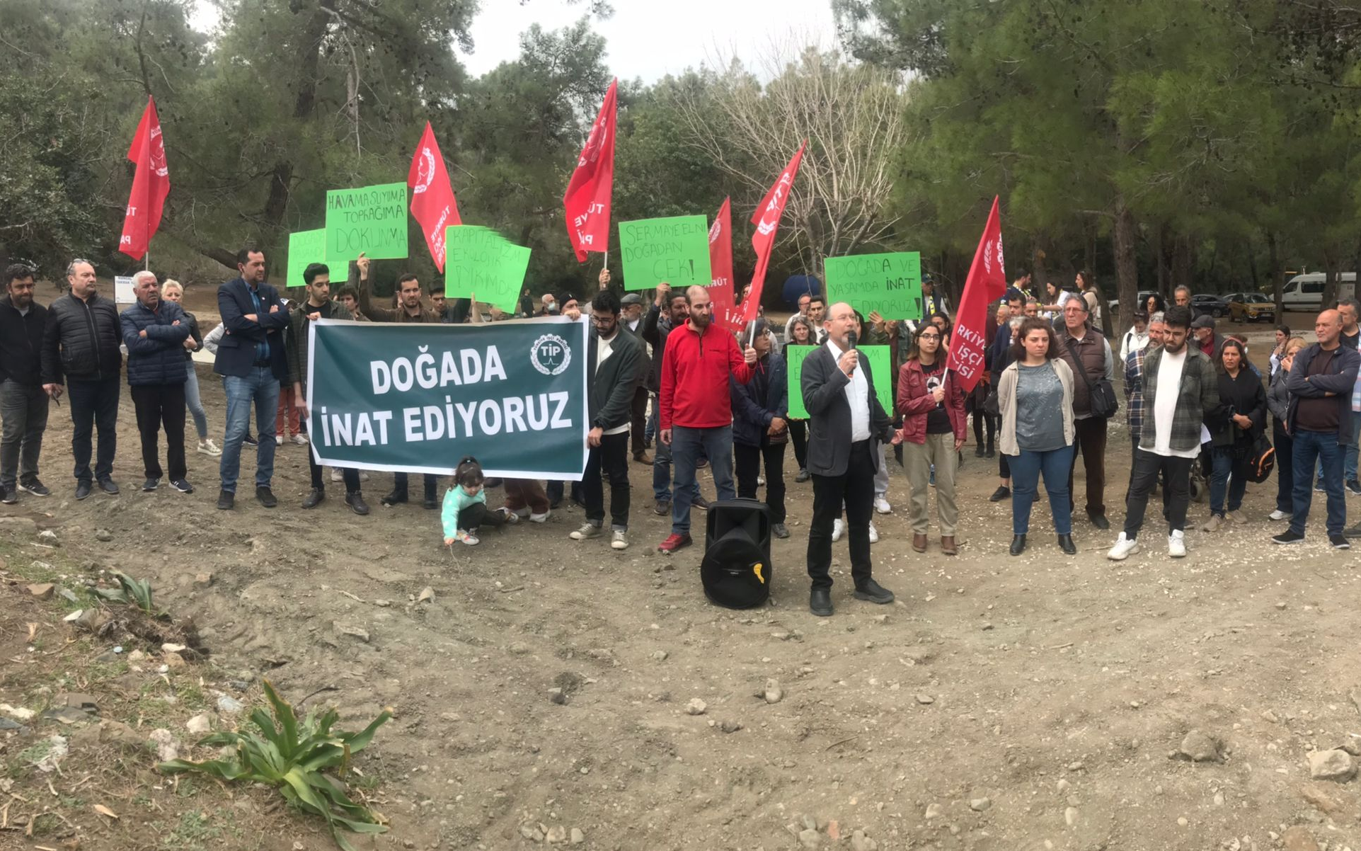 TİP'ten Phaselis talanına tepki: 'Doğada inat ediyoruz'