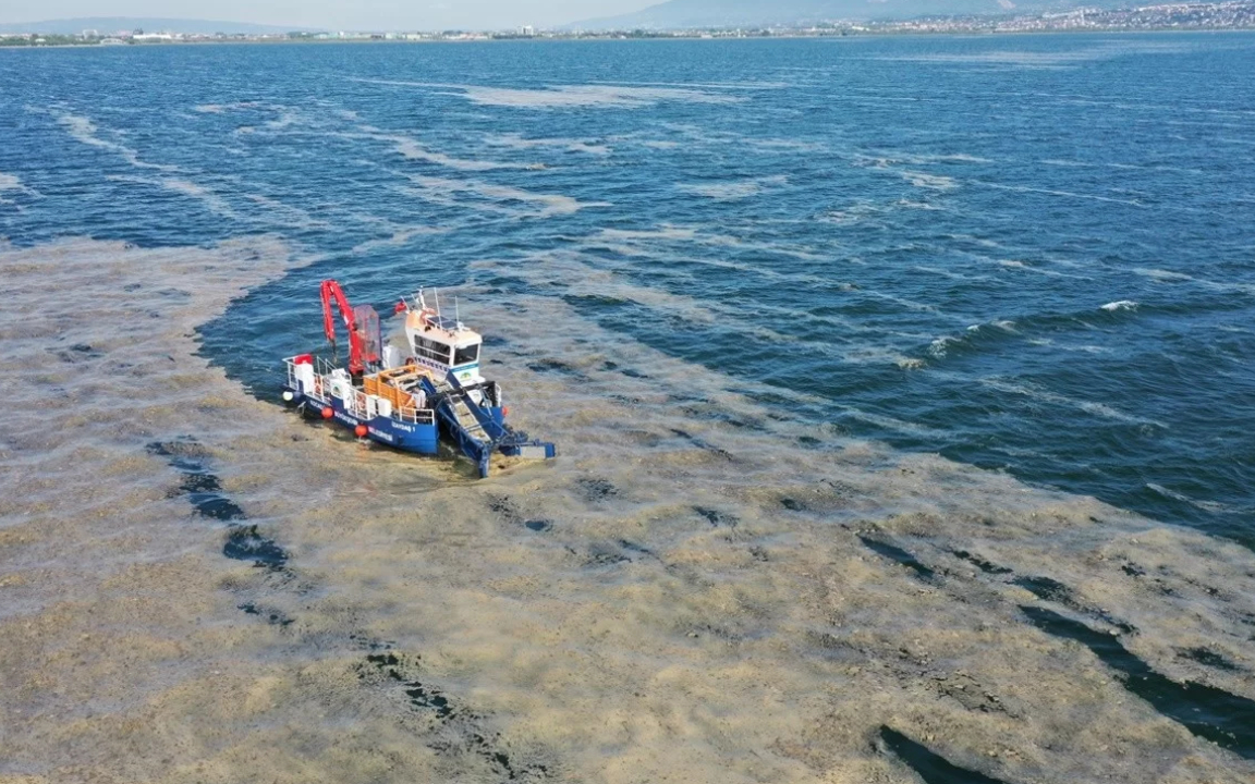 Marmara Denizi’nde yine müsilaj görüldü