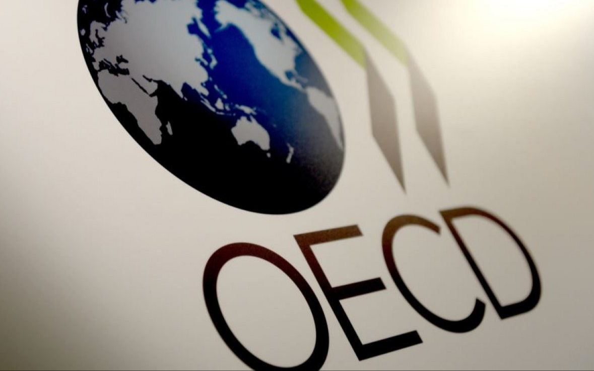 OECD, Türkiye için büyüme ve enflasyon beklentisini açıkladı