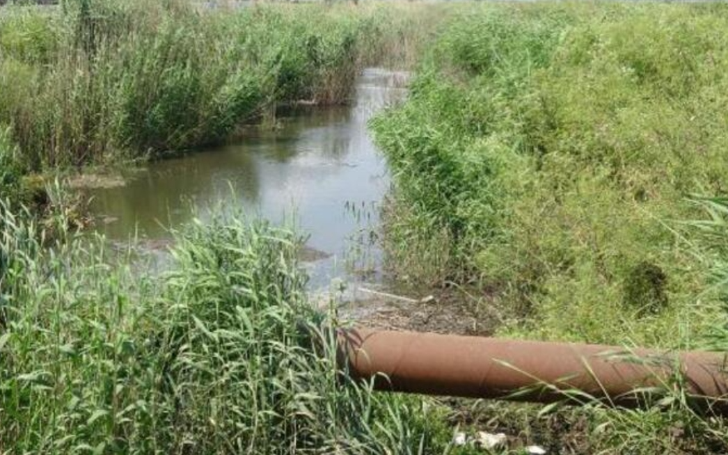 Balıkesir'de tarım arazilerini sulayan kanal, siyah akıyor