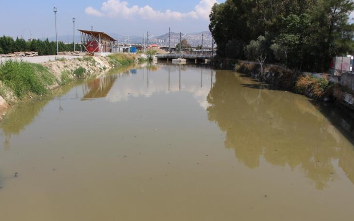 İzmir'in derelerinden körfeze kirlilik taşınıyor