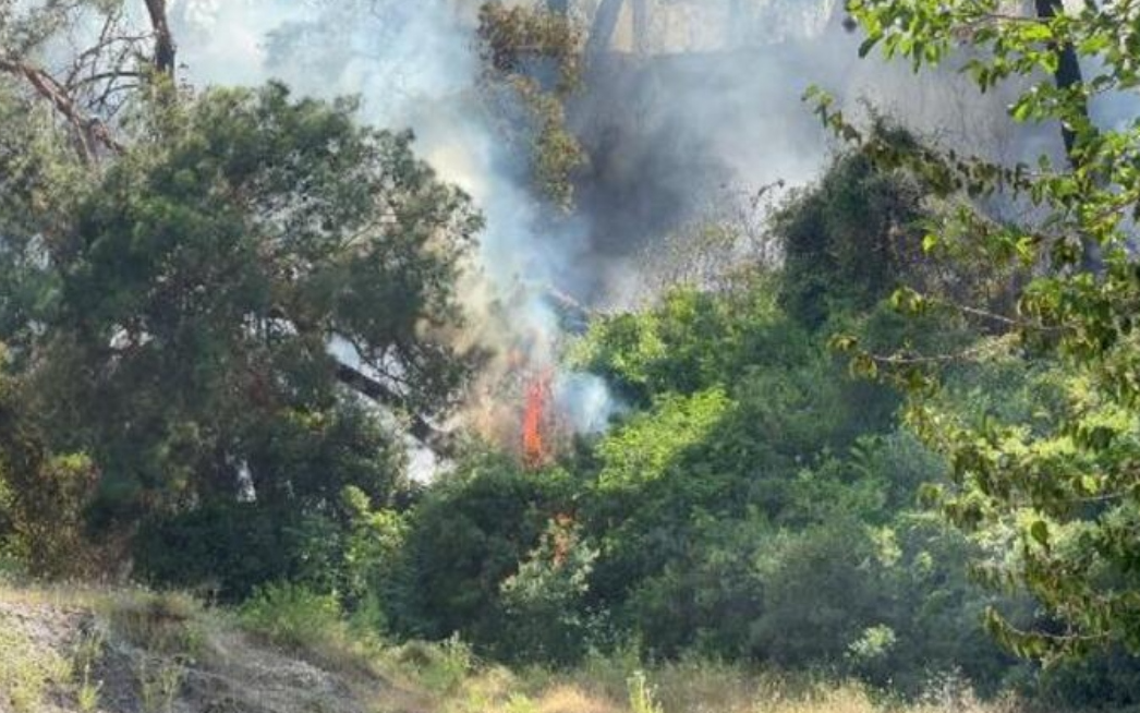 Antalya'daki orman yangını kontrol altında