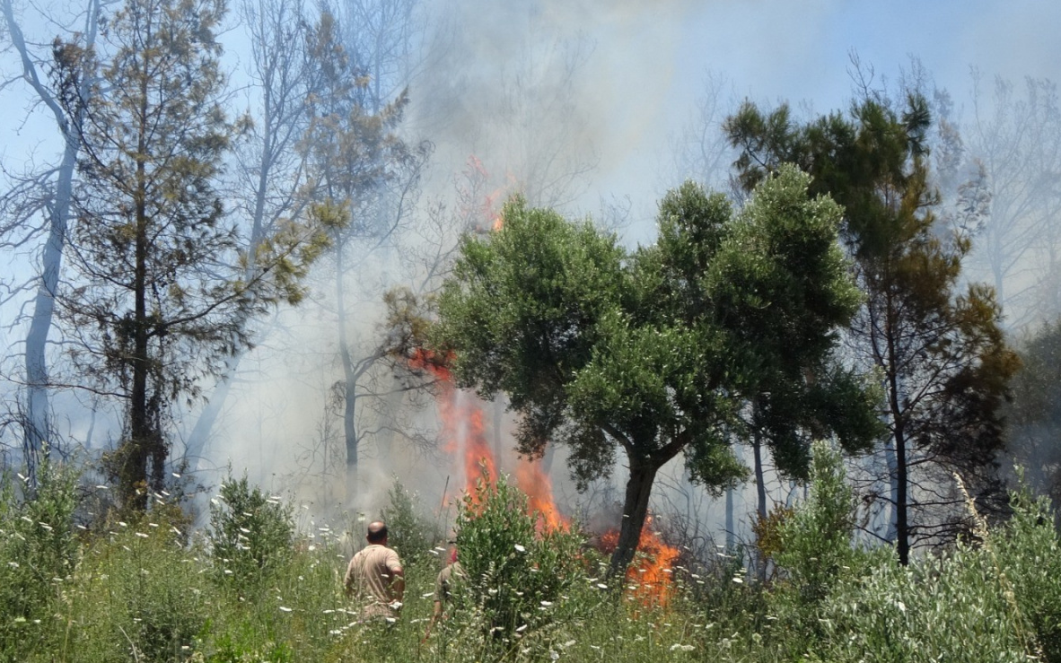 Manavgat'ta 2 dönüm kızılçam ormanı yandı