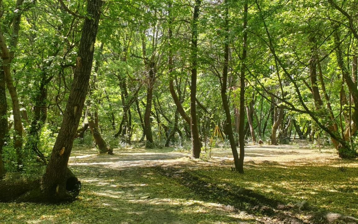 Edirne'de ormanlık alanlara girişler yasaklandı