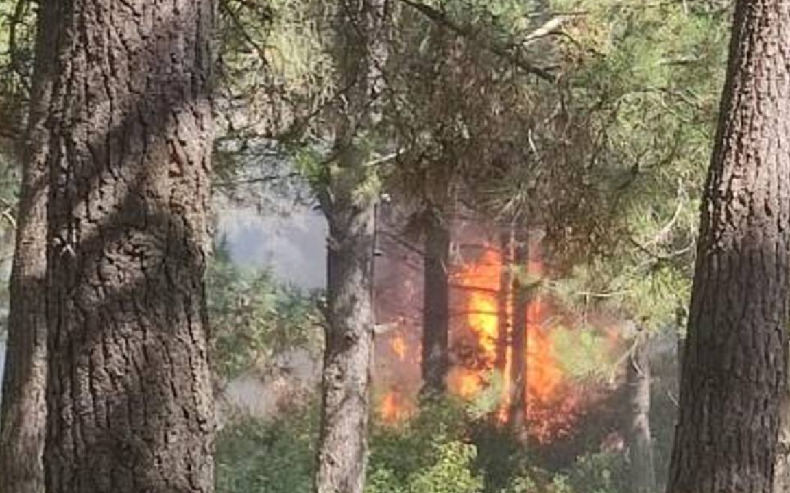 Sultangazi'de çıkan orman yangını söndürüldü