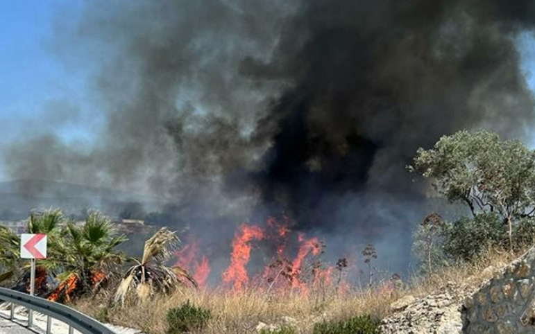 Milas'taki orman yangınıyla ilgili 1 kişi tutuklandı