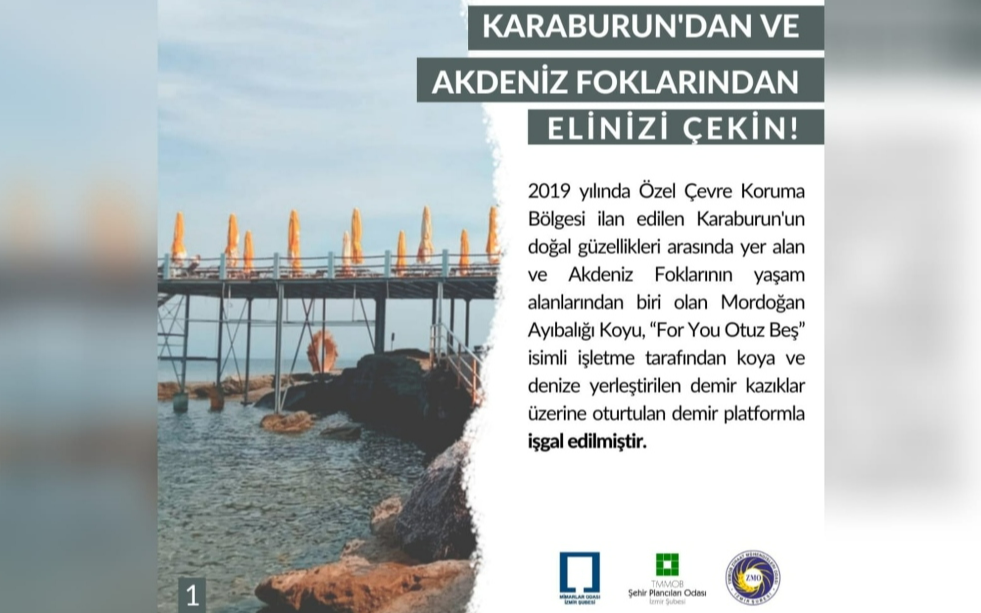 TMMOB: Karaburun’dan ve Akdeniz foklarından elinizi çekin!