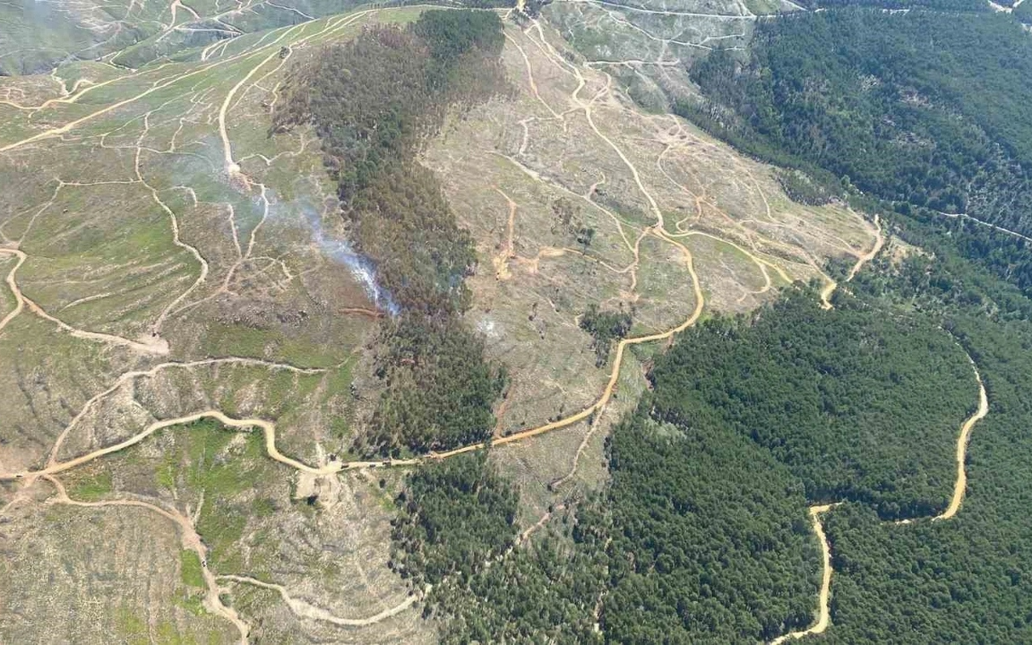 Muğla Kavaklıdere'deki orman yangını kontrol altına alındı