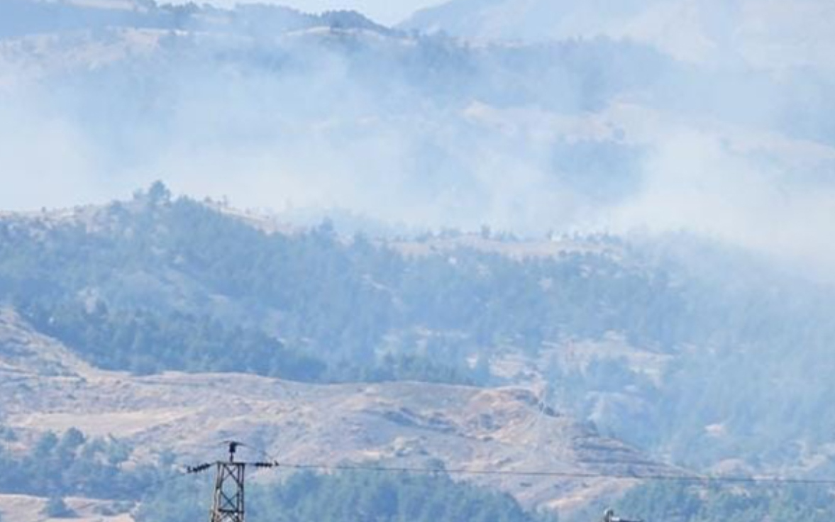 Maraş ve Adana'da orman yangını