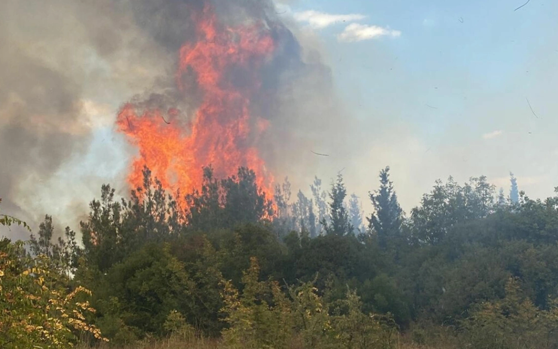 Çanakkale'deki yangın kontrol altına alındı