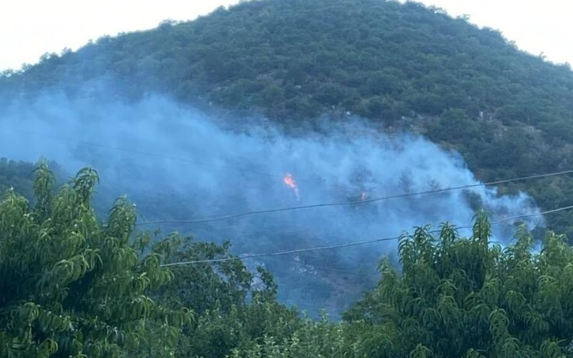 Kastamonu'daki yangın kontrol altına alındı