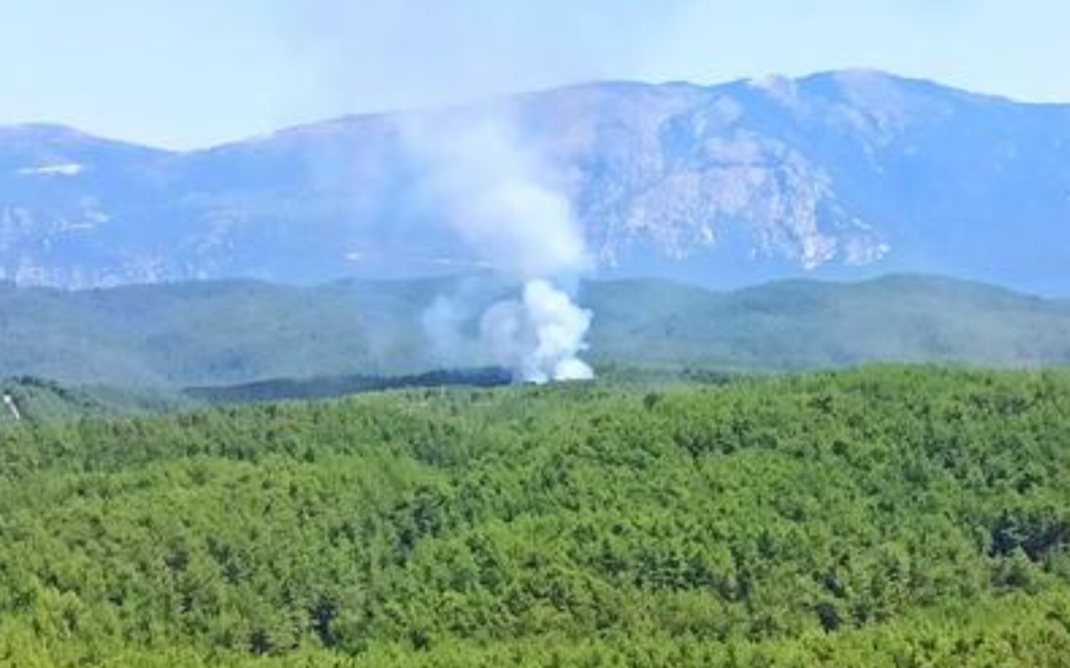 Muğla'daki yangın kontrol altına alındı