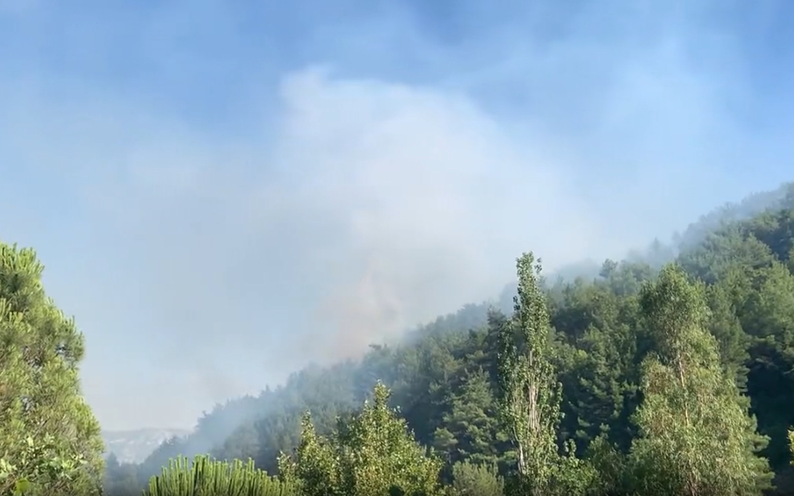 Hatay’daki orman yangını kontrol altında