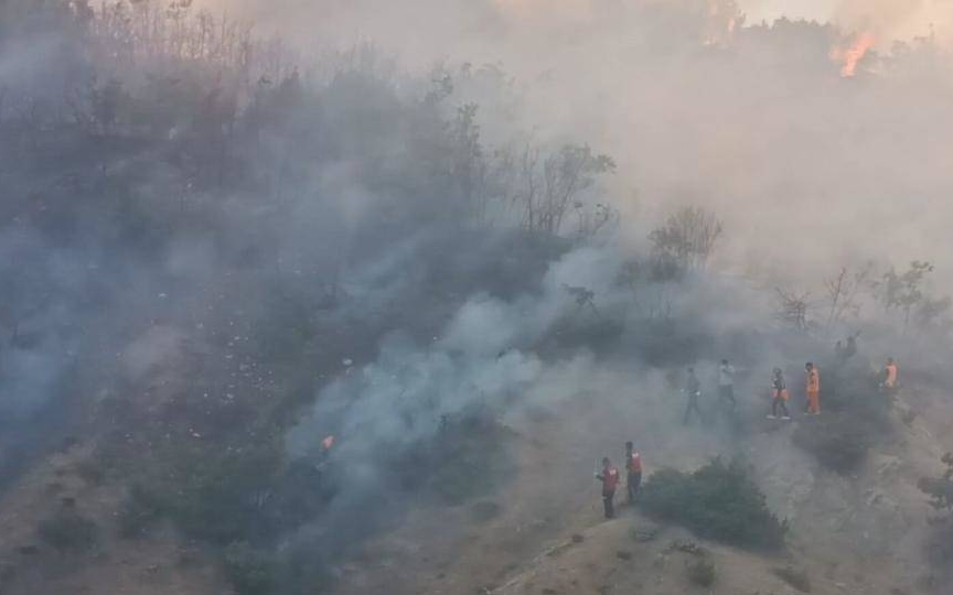 Bingöl'de ormanlık alanda yangın