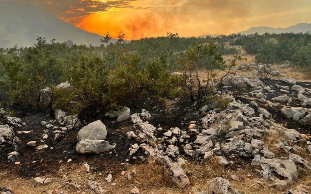 Diyarbakır'daki orman yangını 24 saatte söndürüldü