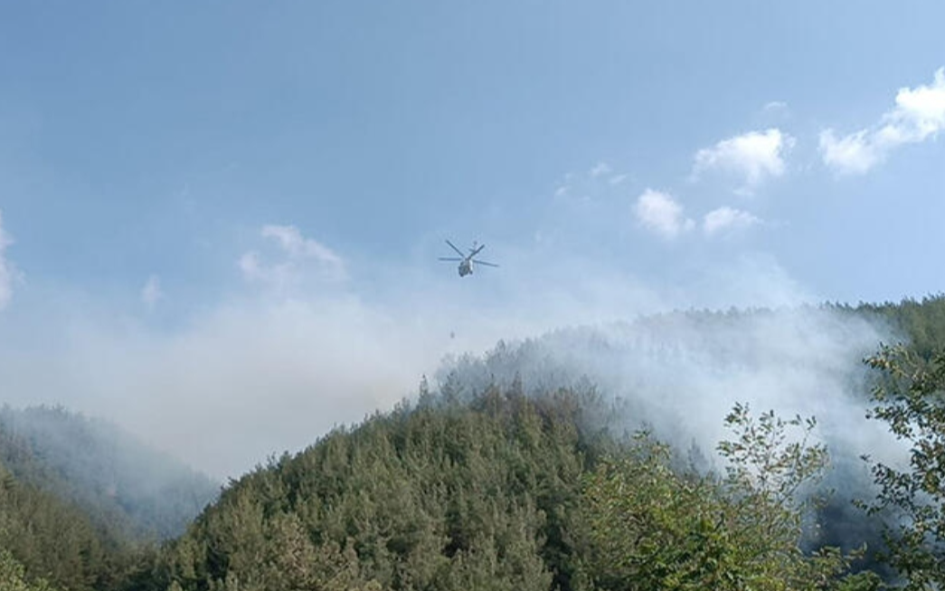Osmaniye'deki orman yangınında 20 dekar alan zarar gördü