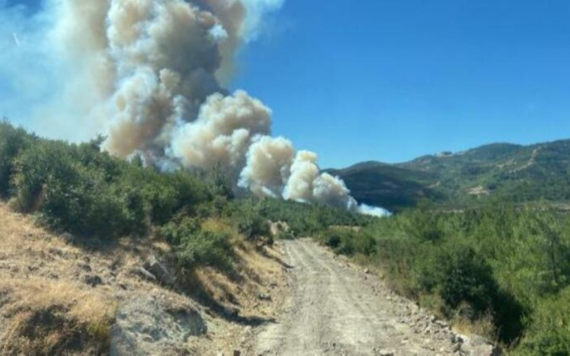 Manisa ve Antalya'da orman yangını