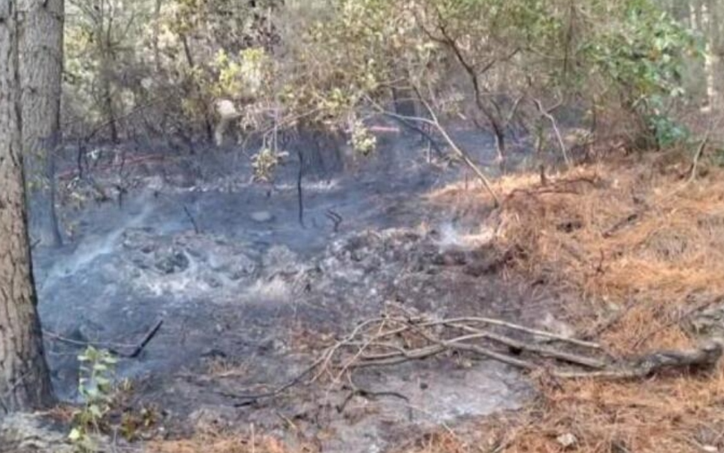 Aydos Ormanı'nda yangın: Bir dönümlük alan zarar gördü