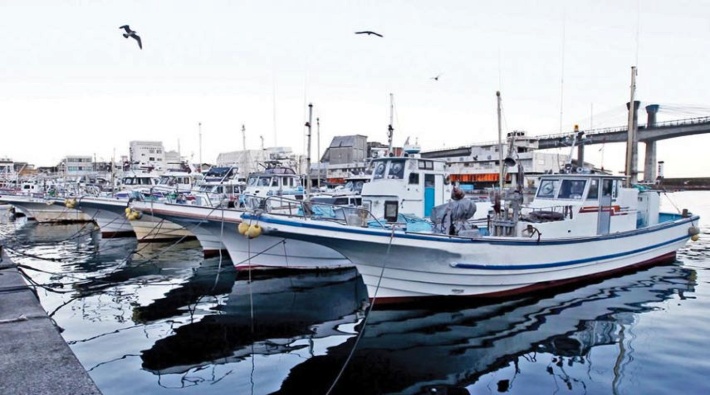 Samsun'da koronavirüs aşısı olmayan balıkçılar denize açılamayacak