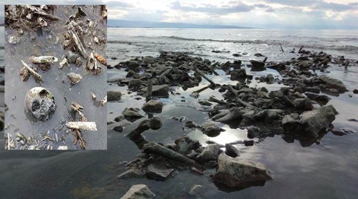 Van Gölü kıyısına kemikler vurdu